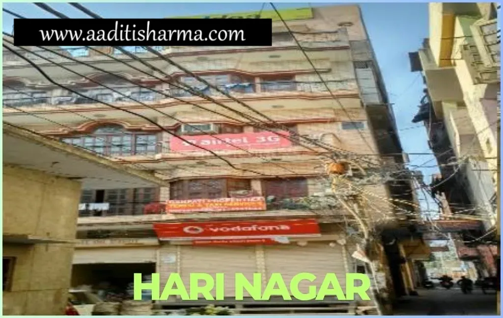 Escort in Hari Nagar