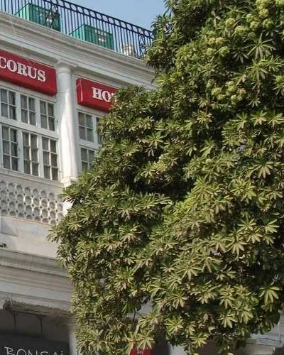 The Corus Hotel New Delhi