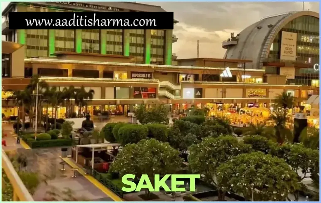 Escort in Saket
