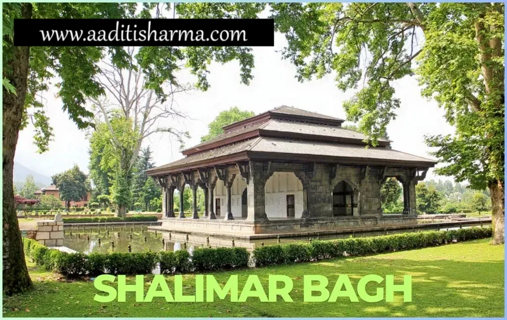 Escort in Shalimar Bagh